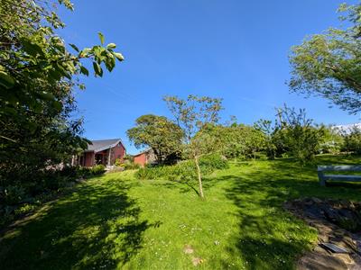 Picture 28